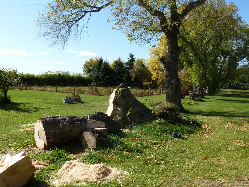 Lena's Tree